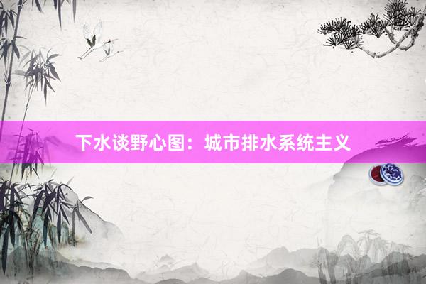 下水谈野心图：城市排水系统主义